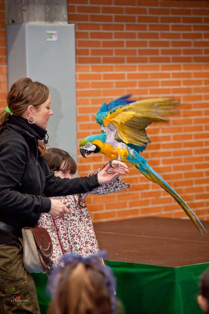 Semana Ciencias en Los Tilos